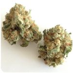 Шишки "White Widow"  (Белая вдова)  Гидропоника -  Бошка VHQ в Махачкале