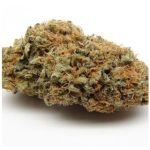 Шишки AK47  (Гидропоника, Бошка) VHQ в Махачкале