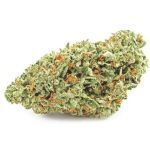 Шишки OG Kush  (Гидропоника, бошки) VHQ в Махачкале